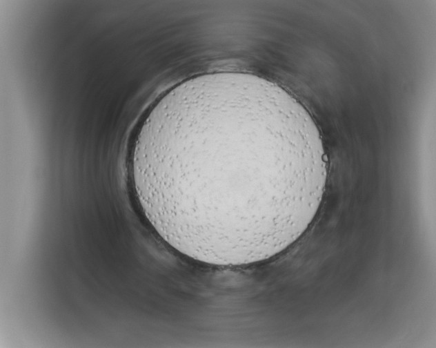 X0000113920290200910221359