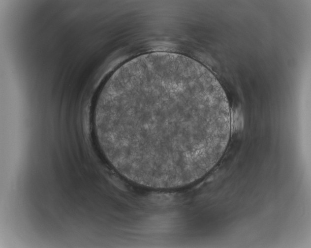 X0000113920291200910221359