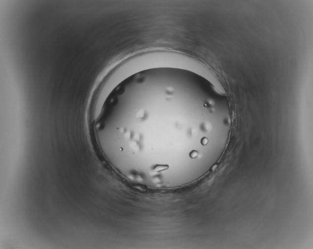 X0000113920292200910221359