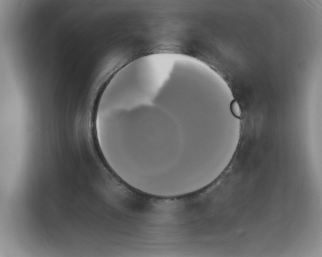 X0000113920293200910221359
