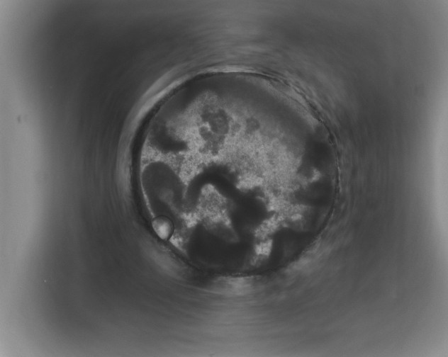 X0000113920295200910221359