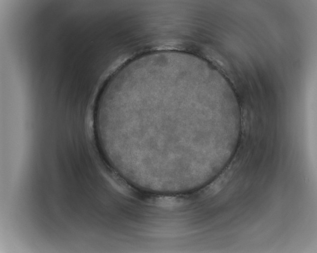 X0000113920298200910221359
