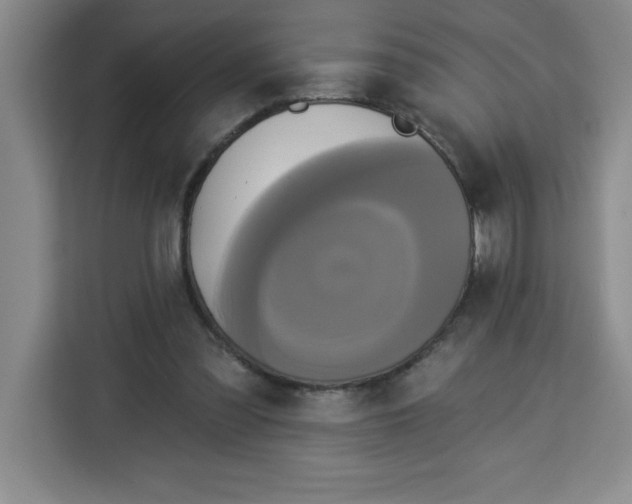 X0000113920301200910221359