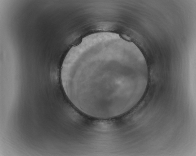 X0000113920305200910221359