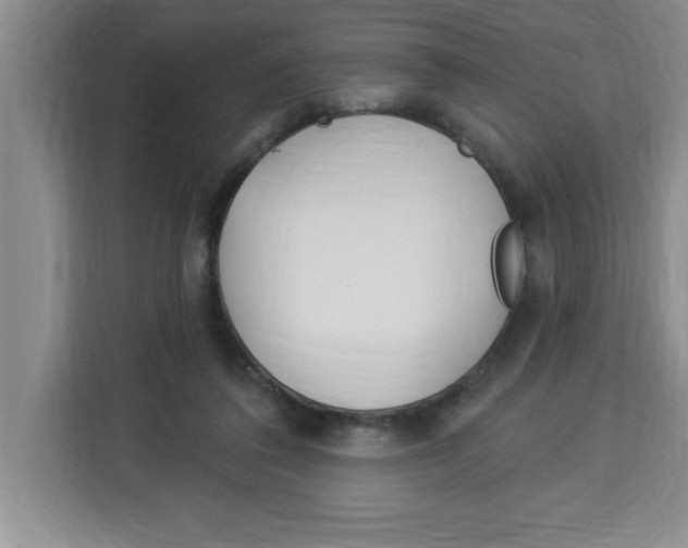 X0000113920308200910221359