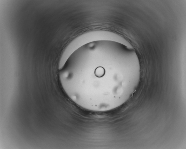 X0000113920317200910221359