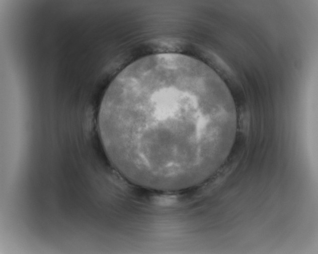 X0000113920318200910221359