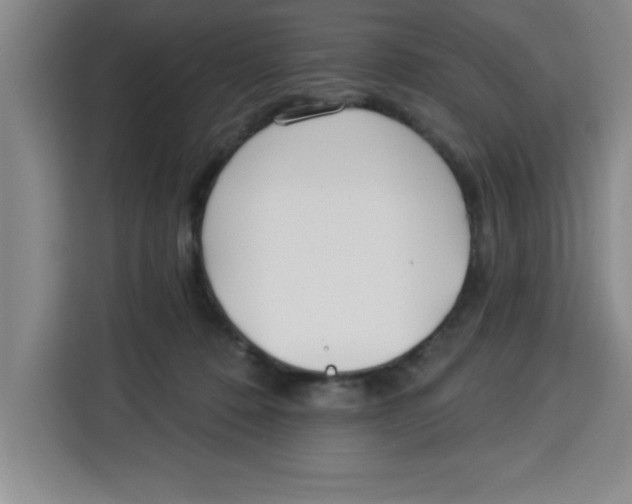 X0000113920320200910221358