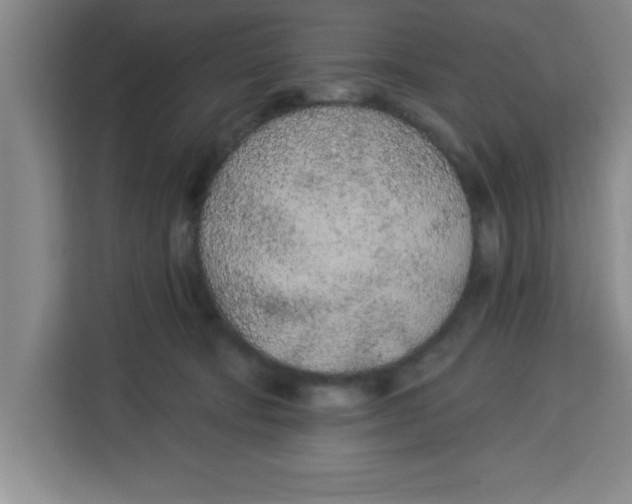 X0000113920322200910221358