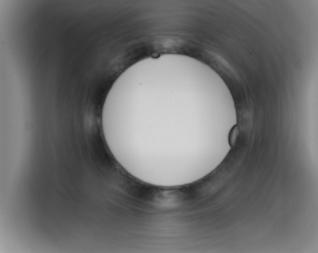 X0000113920324200910221358