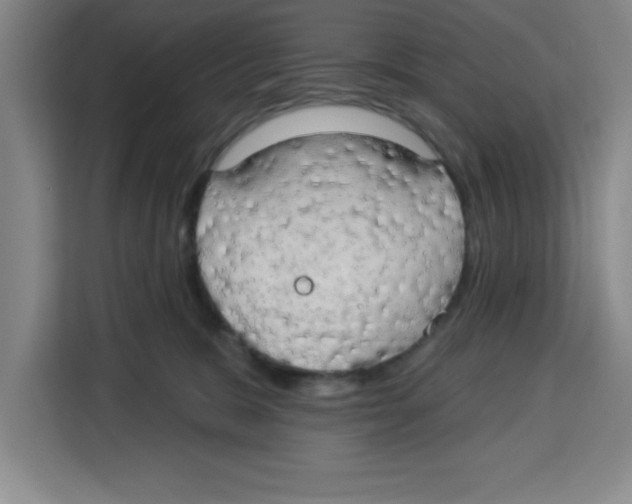 X0000113920327200910221358