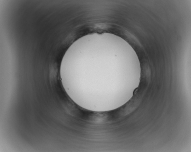 X0000113920328200910221358
