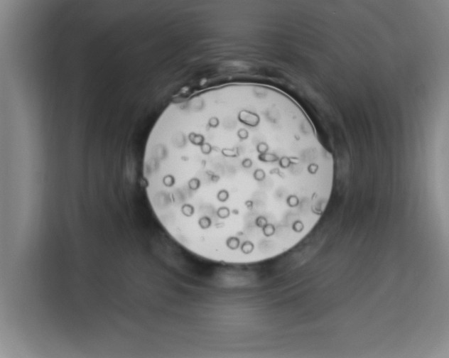 X0000113920331200910221358