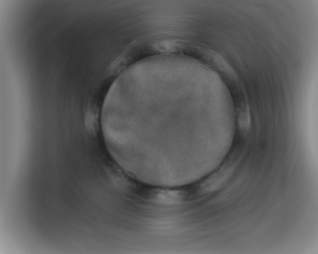 X0000113920332200910221358