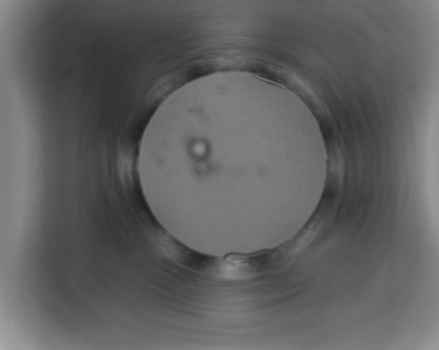 X0000113920333200910221358