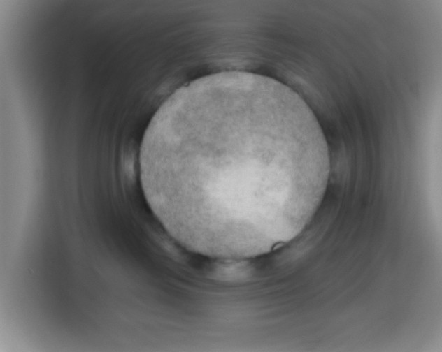 X0000113920334200910221358