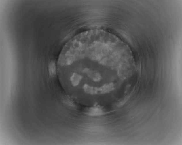 X0000113920335200910221358