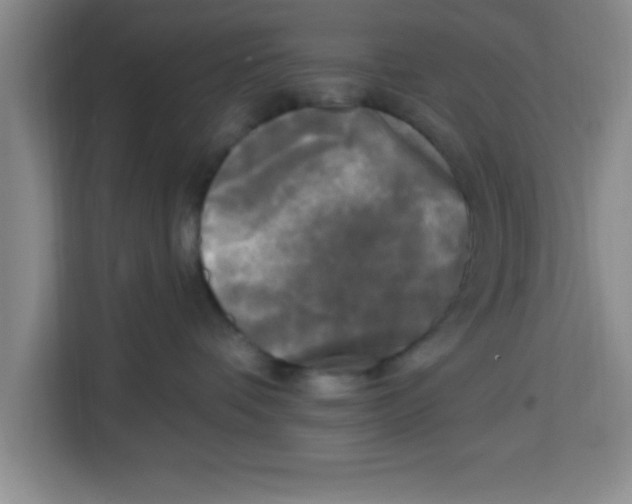 X0000113920336200910221358