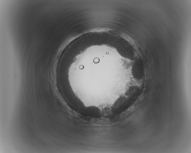 X0000113920337200910221358