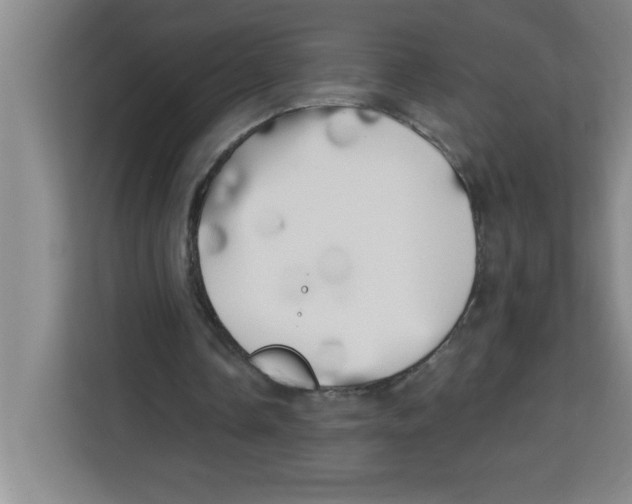 X0000113920338200910221358