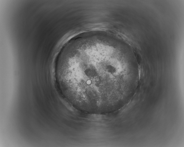X0000113920339200910221358