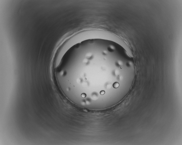 X0000113920340200910221358