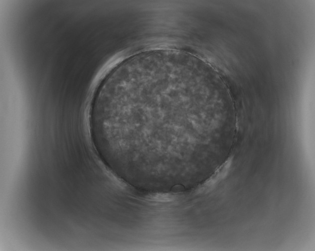 X0000113920341200910221358
