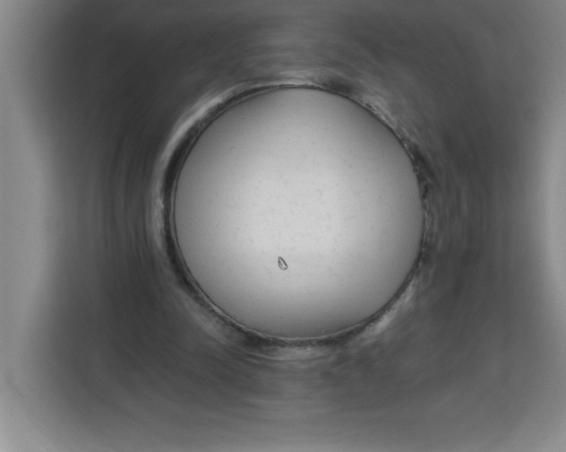 X0000113920342200910221358