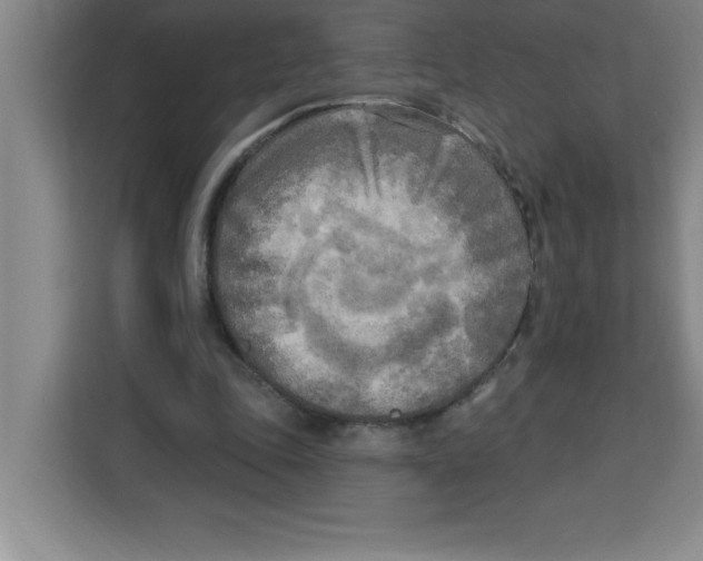 X0000113920343200910221358