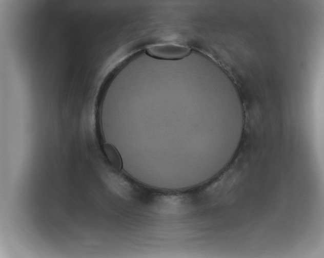 X0000113920344200910221358