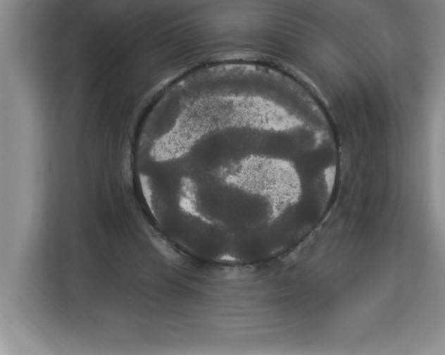 X0000113920345200910221358
