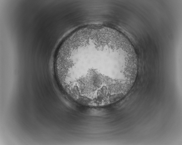 X0000113920346200910221358