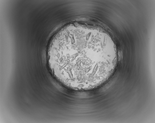 X0000113920349200910221358