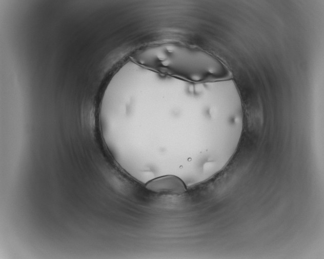 X0000113920350200910221358