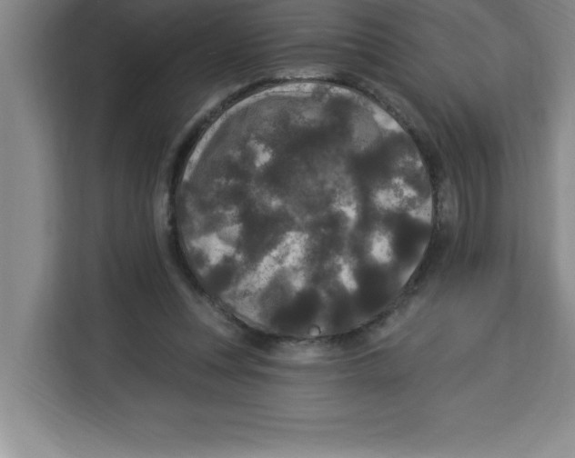 X0000113920351200910221358