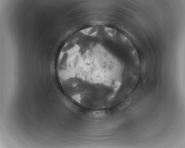X0000113920353200910221358