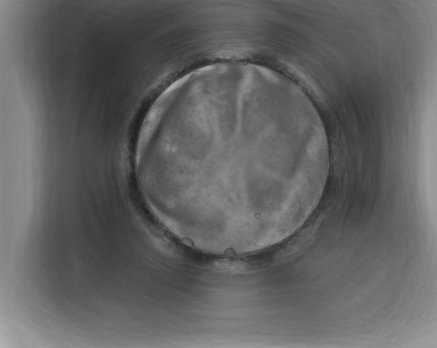 X0000113920354200910221358
