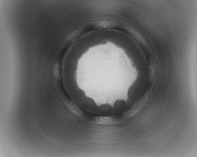 X0000113920361200910221358