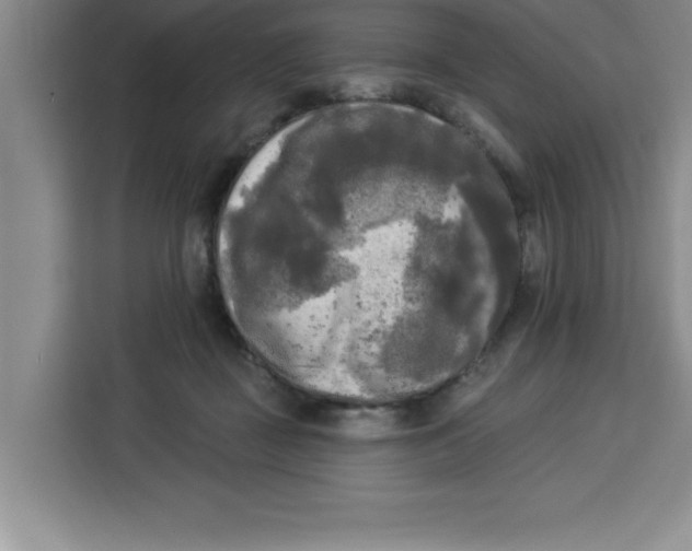X0000113920363200910221358