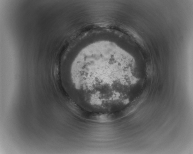 X0000113920365200910221358
