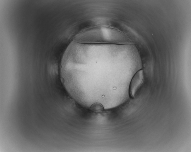 X0000113920368200910221358