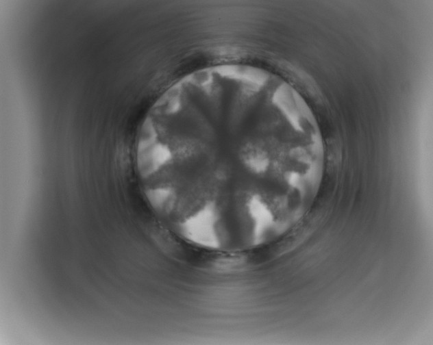 X0000113920369200910221358