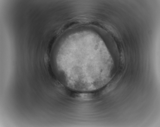 X0000113920371200910221358