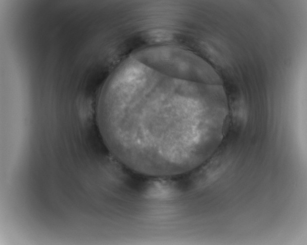 X0000113920372200910221358