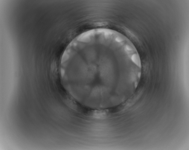 X0000113920373200910221358