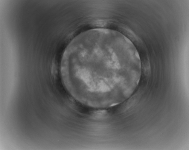 X0000113920374200910221358