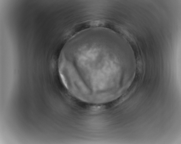 X0000113920375200910221358