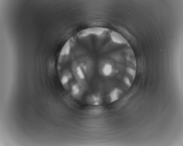 X0000113920377200910221358