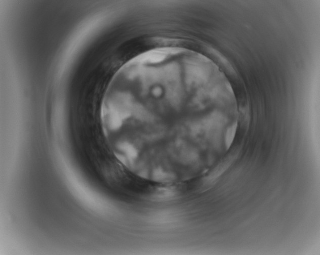 X0000113920381200910221358
