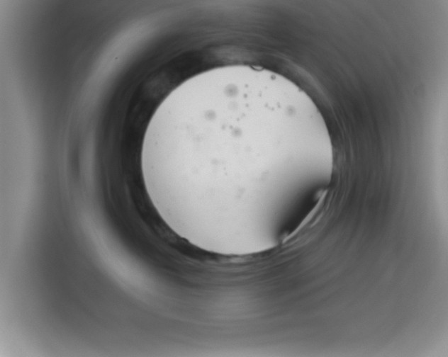 X0000113920382200910221358